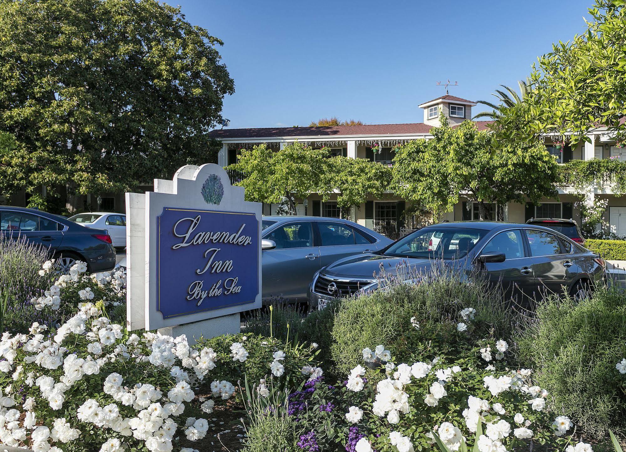 Lavender Inn By The Sea Santa Barbara Buitenkant foto